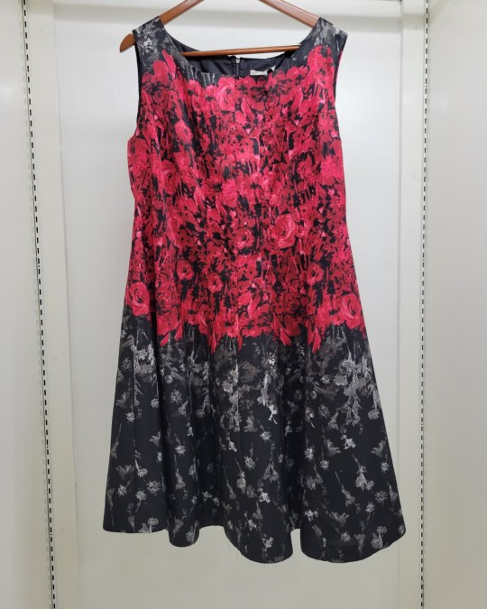 C&B Floral Fit-and-Flare Dress