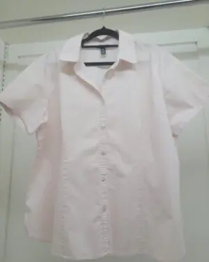 Soft Blush Short-Sleeve Button-Down Blouse