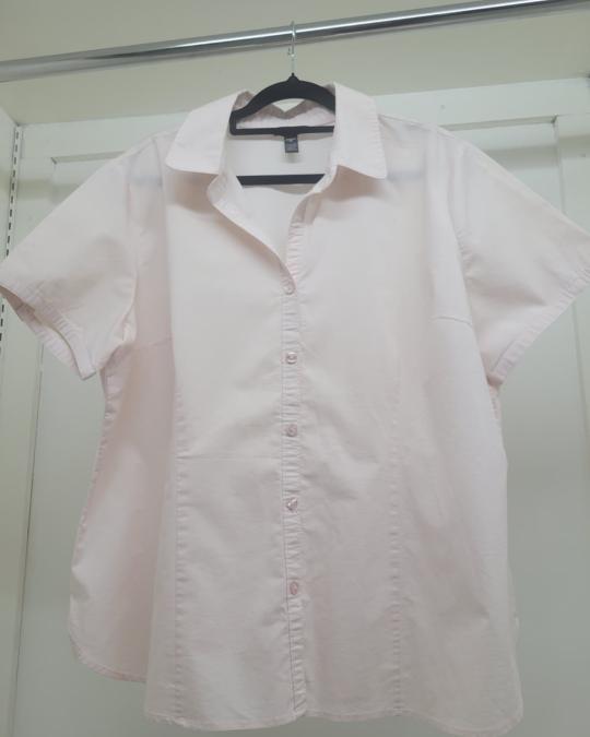 George Soft Blush Short-Sleeve Button-Down Blouse